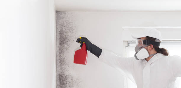 Best Mold Testing  in Mukilteo, WA