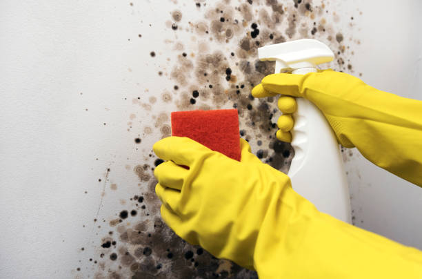 Water Damage Restoration in Mukilteo, WA